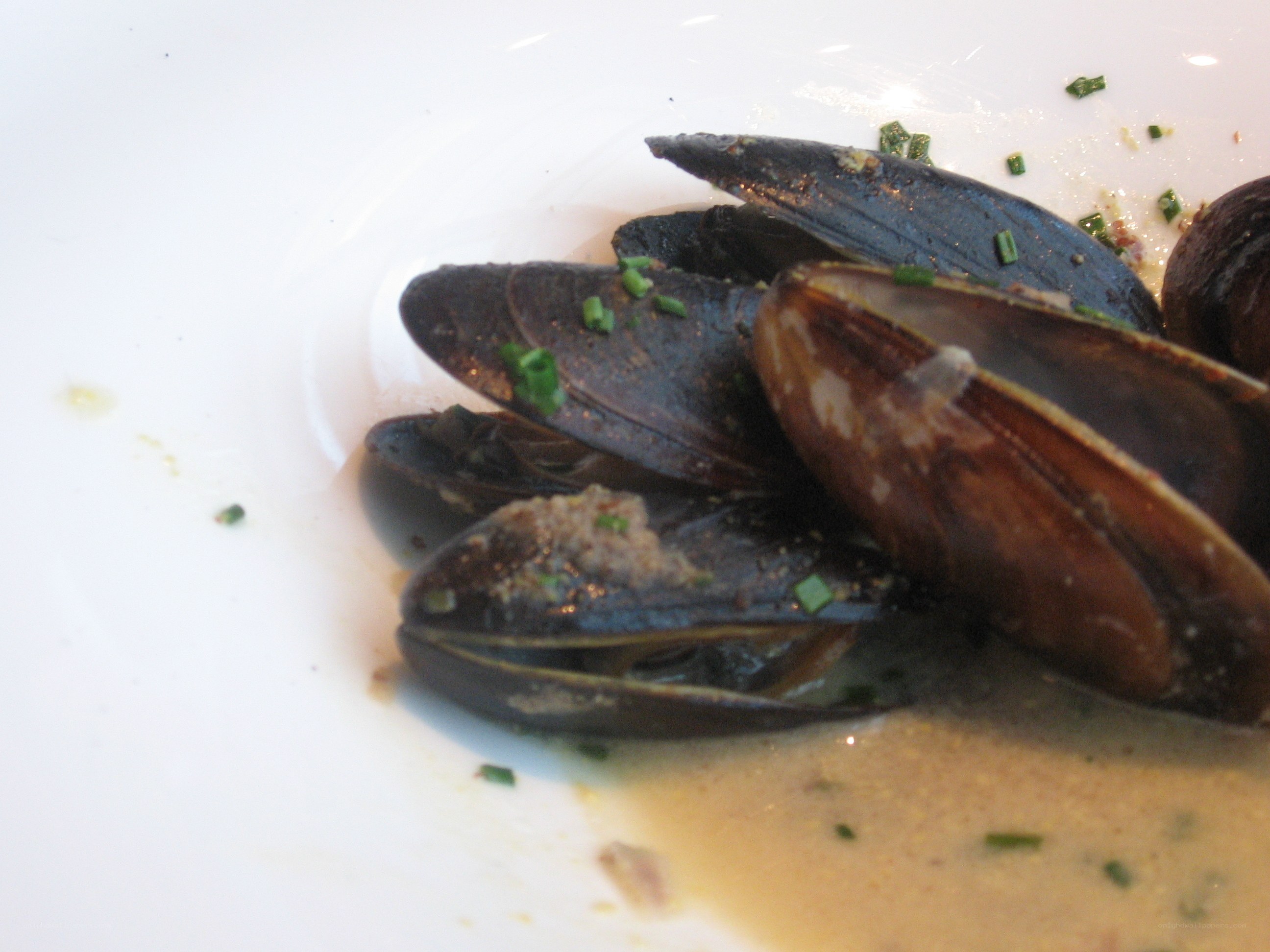 mussels with herbs on plate