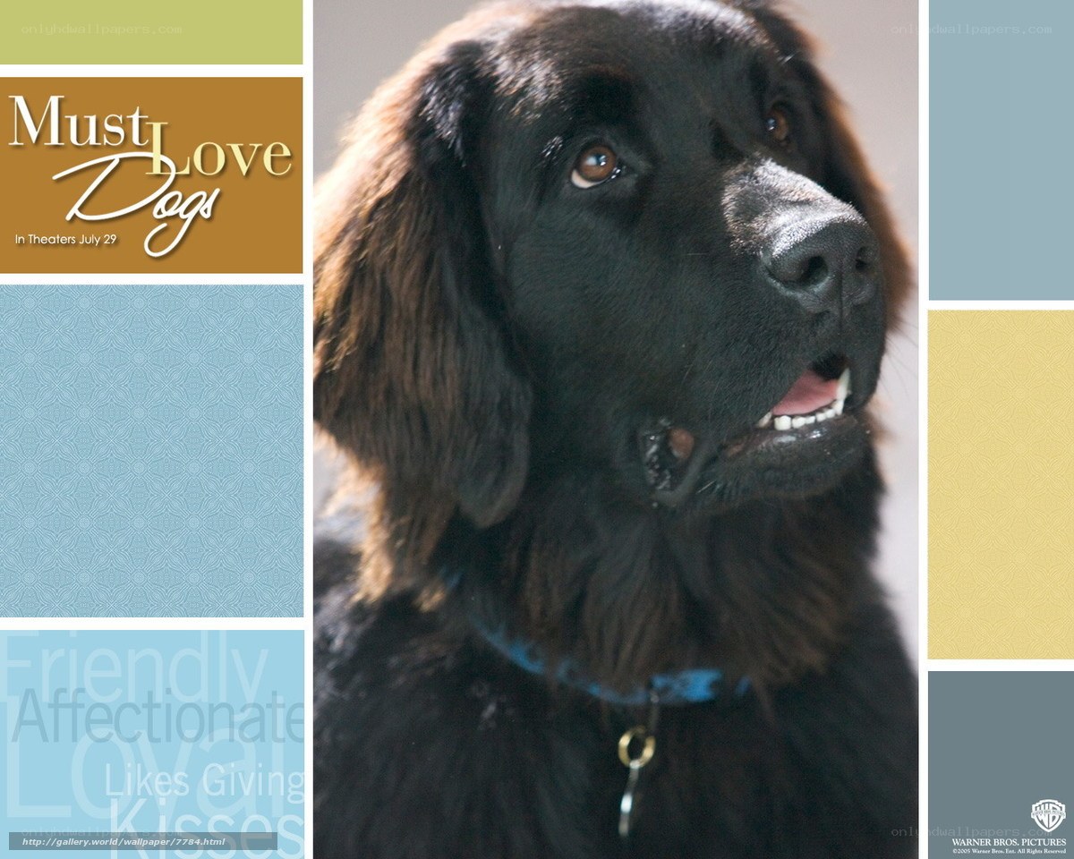 Must Love Dogs movie poster