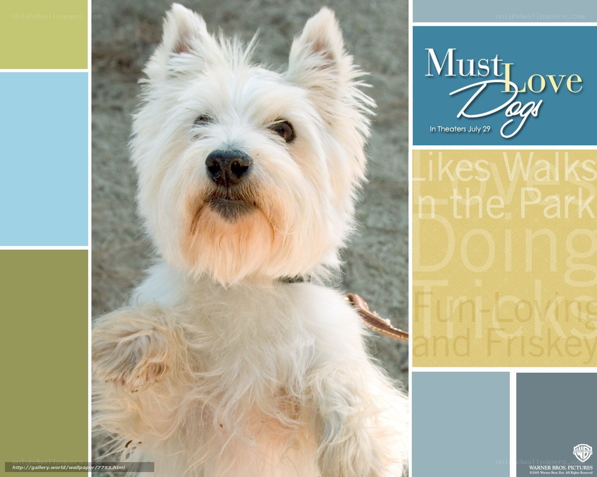 Must Love Dogs movie poster