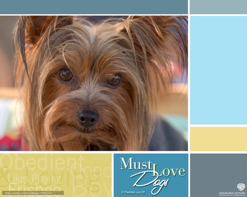 Must Love Dogs movie poster