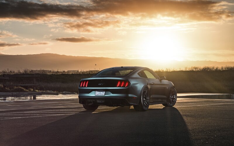 Mustang at sunset