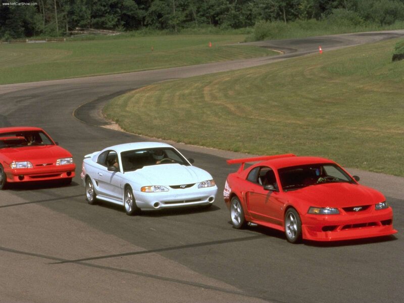 Mustang cars on a racetrack