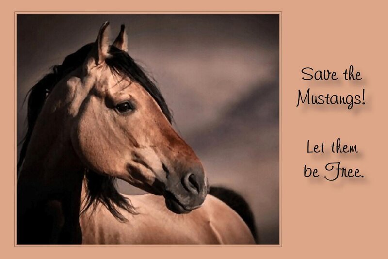 Mustang Horse Portrait — Brown