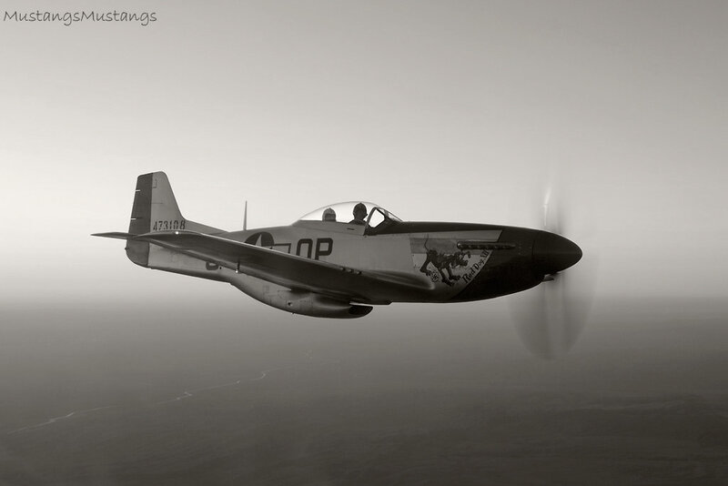 Mustang in flight