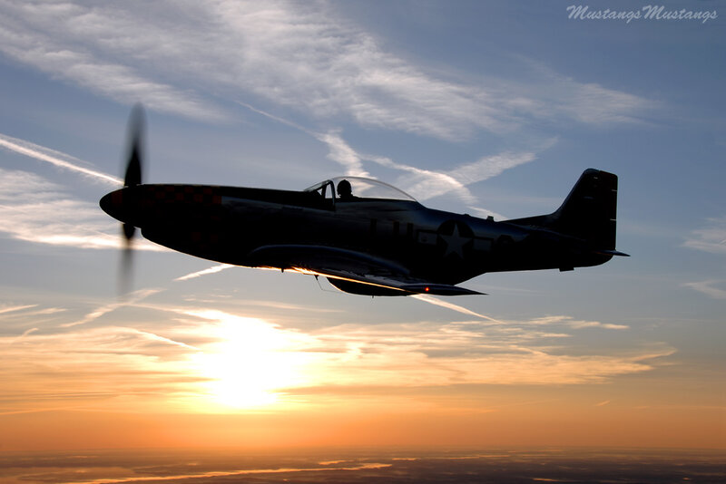 Mustang in sunset flight
