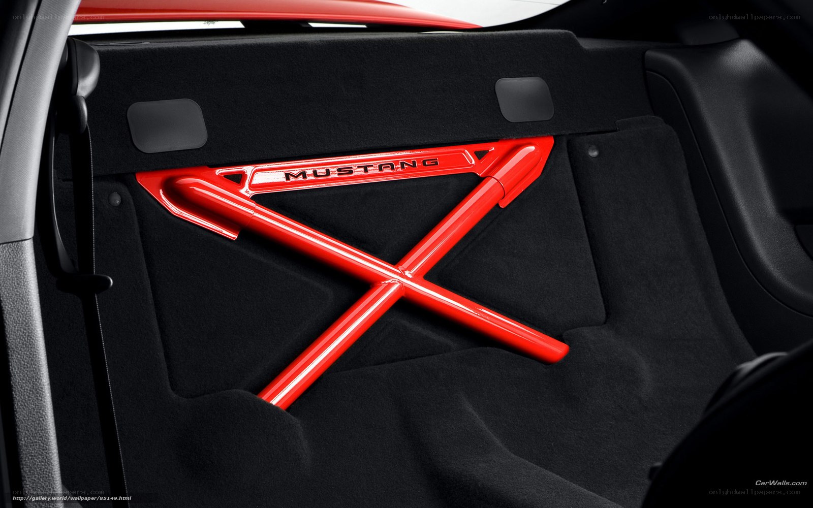 Mustang interior roll cage