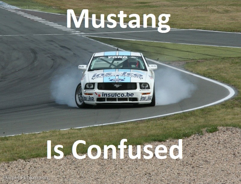 Mustang Is Confused