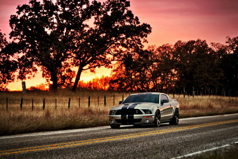 Mustang on a country road at sunset