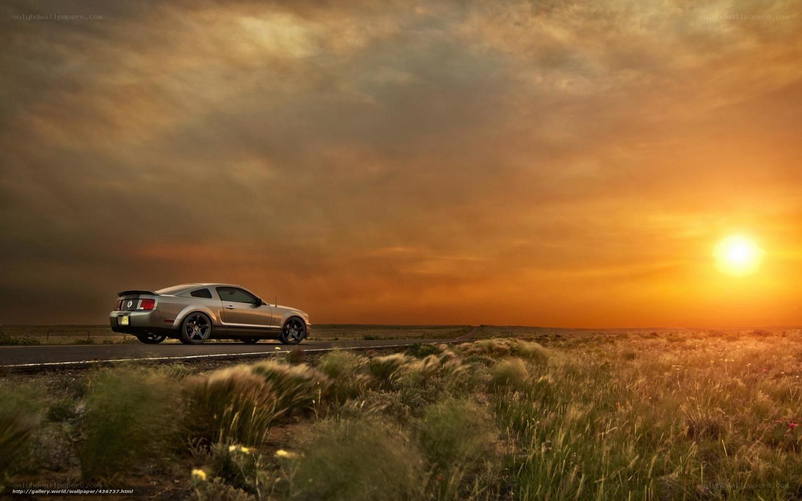 Mustang on a desert road at sunset