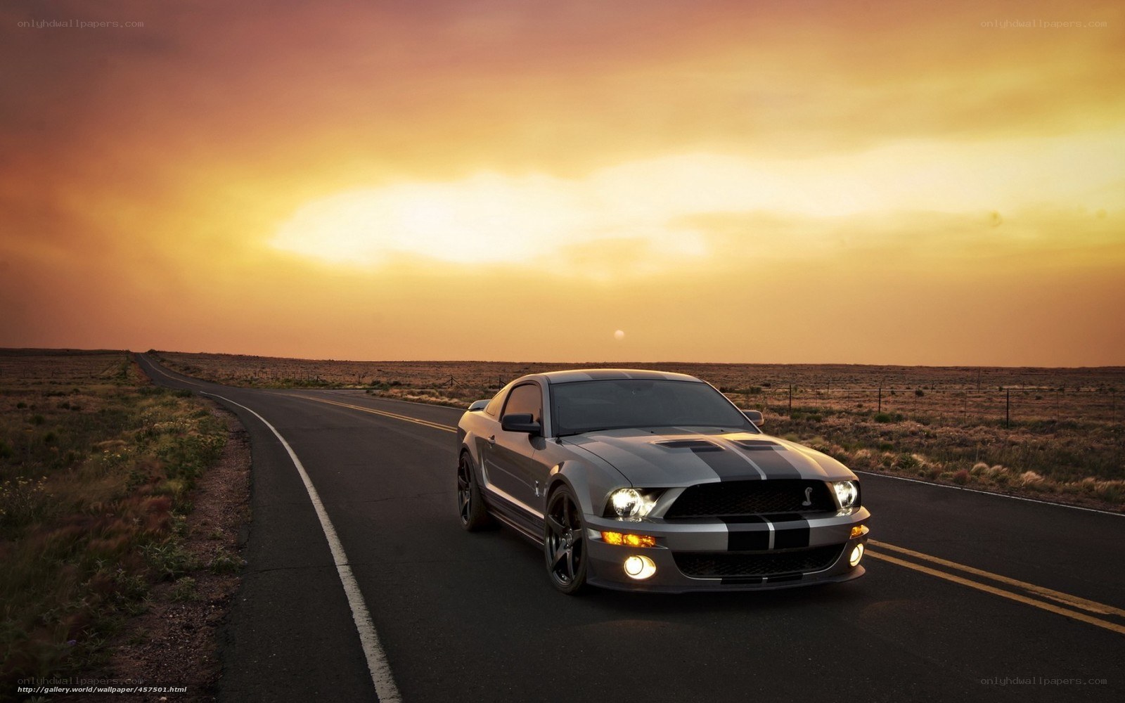 Mustang on desert road at sunset