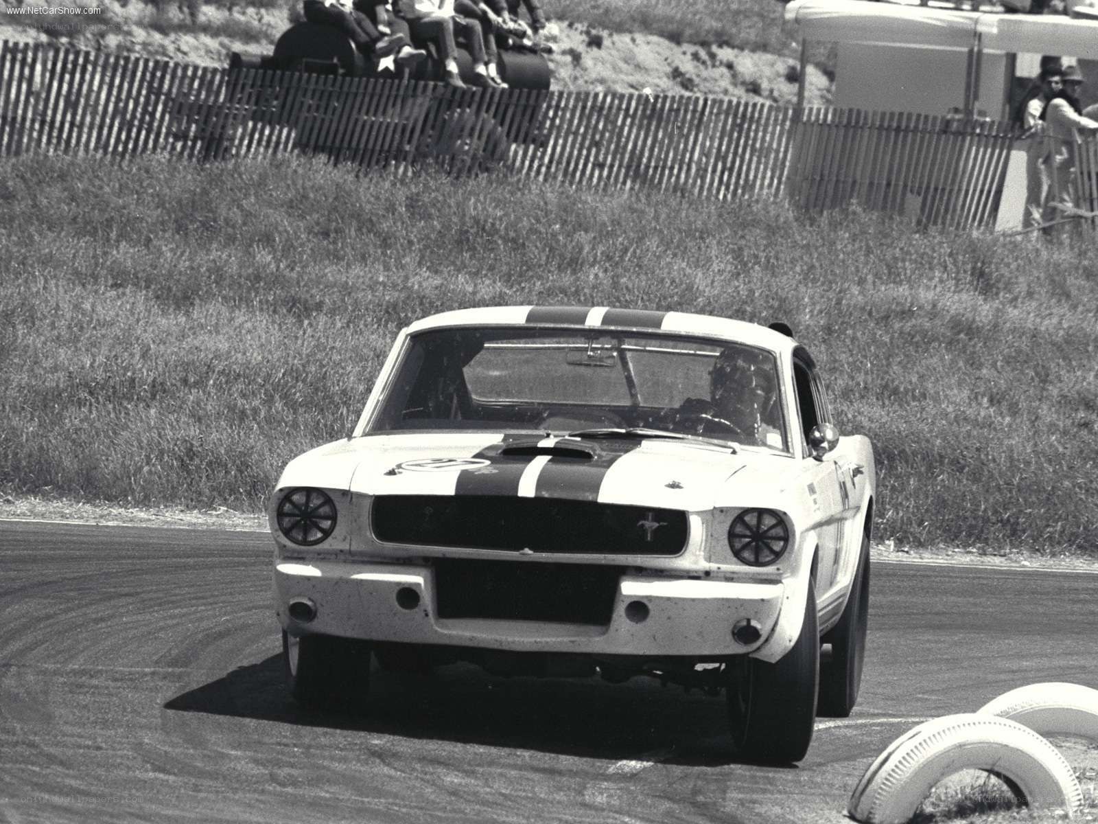 Mustang racing on track