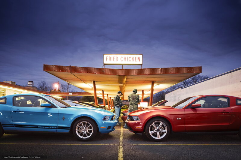 Mustangs at a fried chicken restaurant