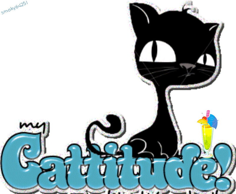 My Cattitude logo