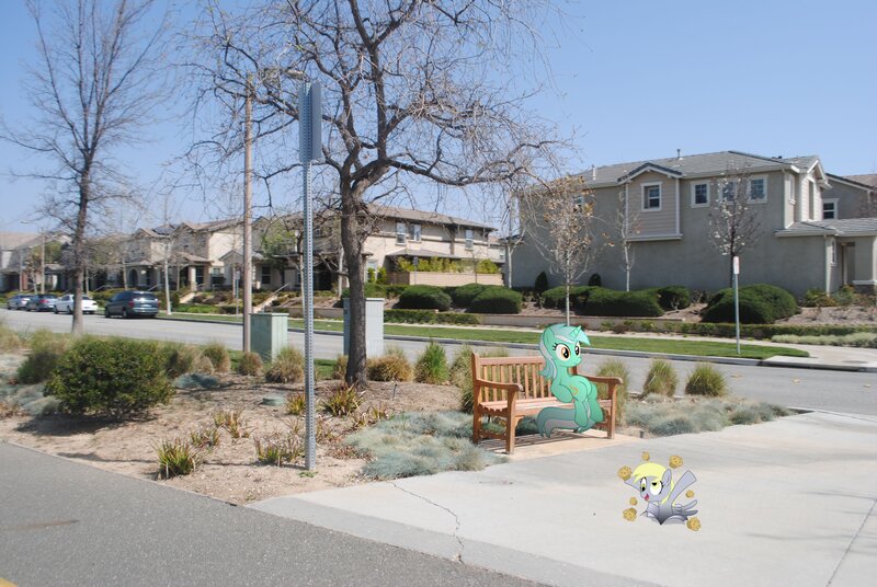 My Little Pony in a suburban neighborhood