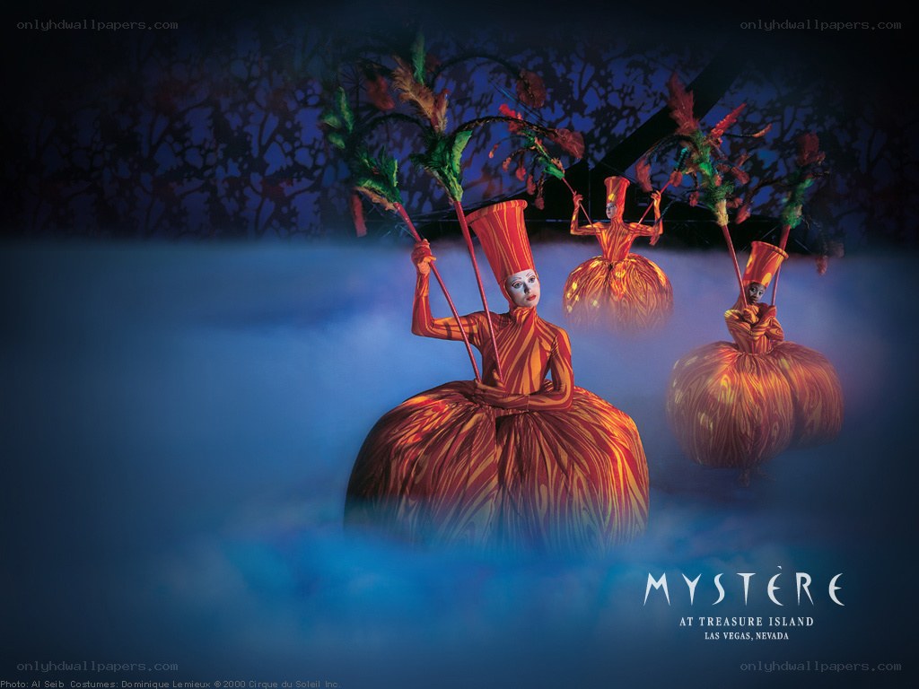 Mystère performers at night