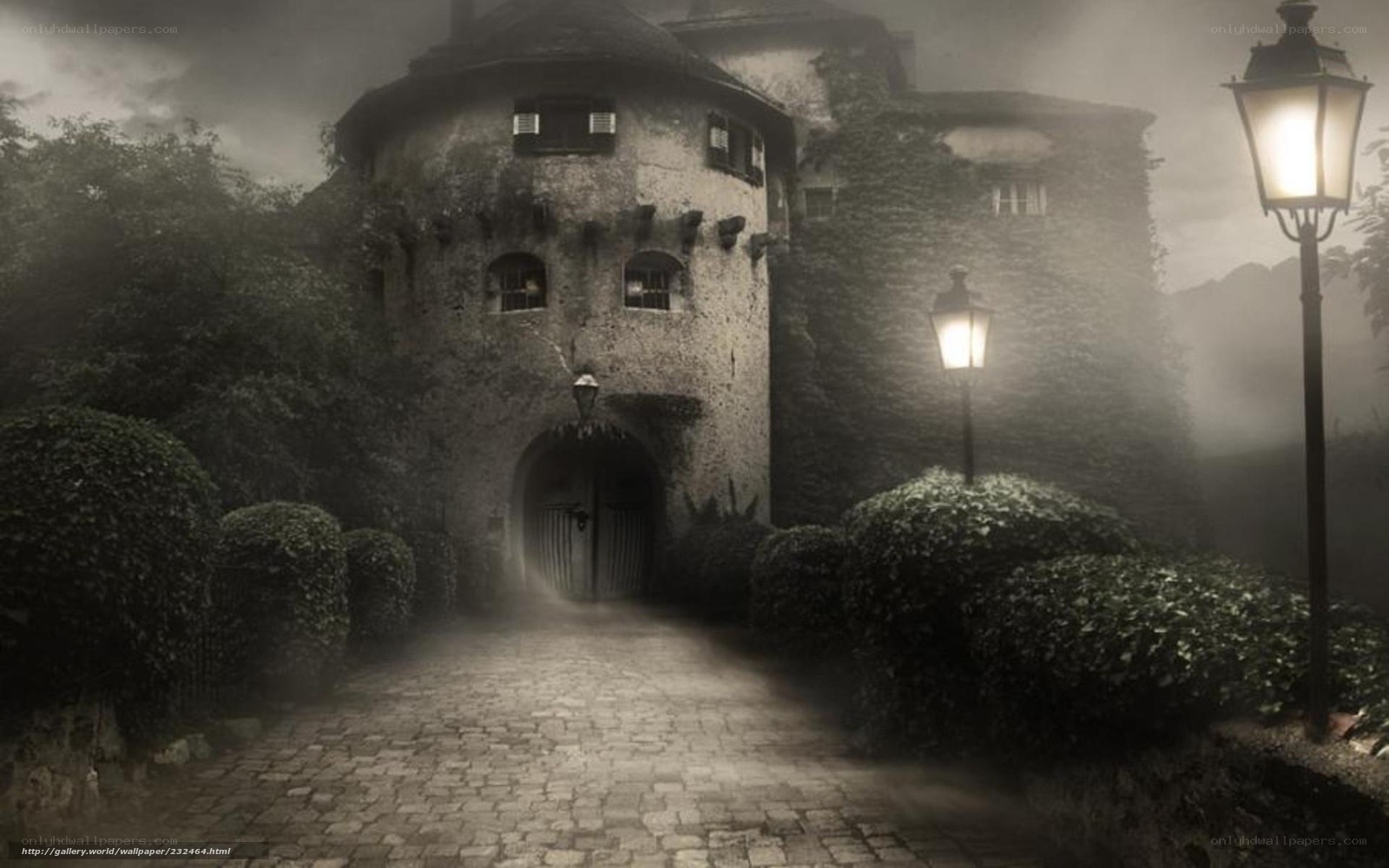 Mysterious castle at night