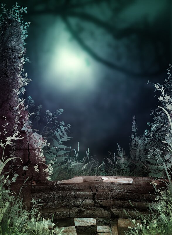 mysterious forest clearing