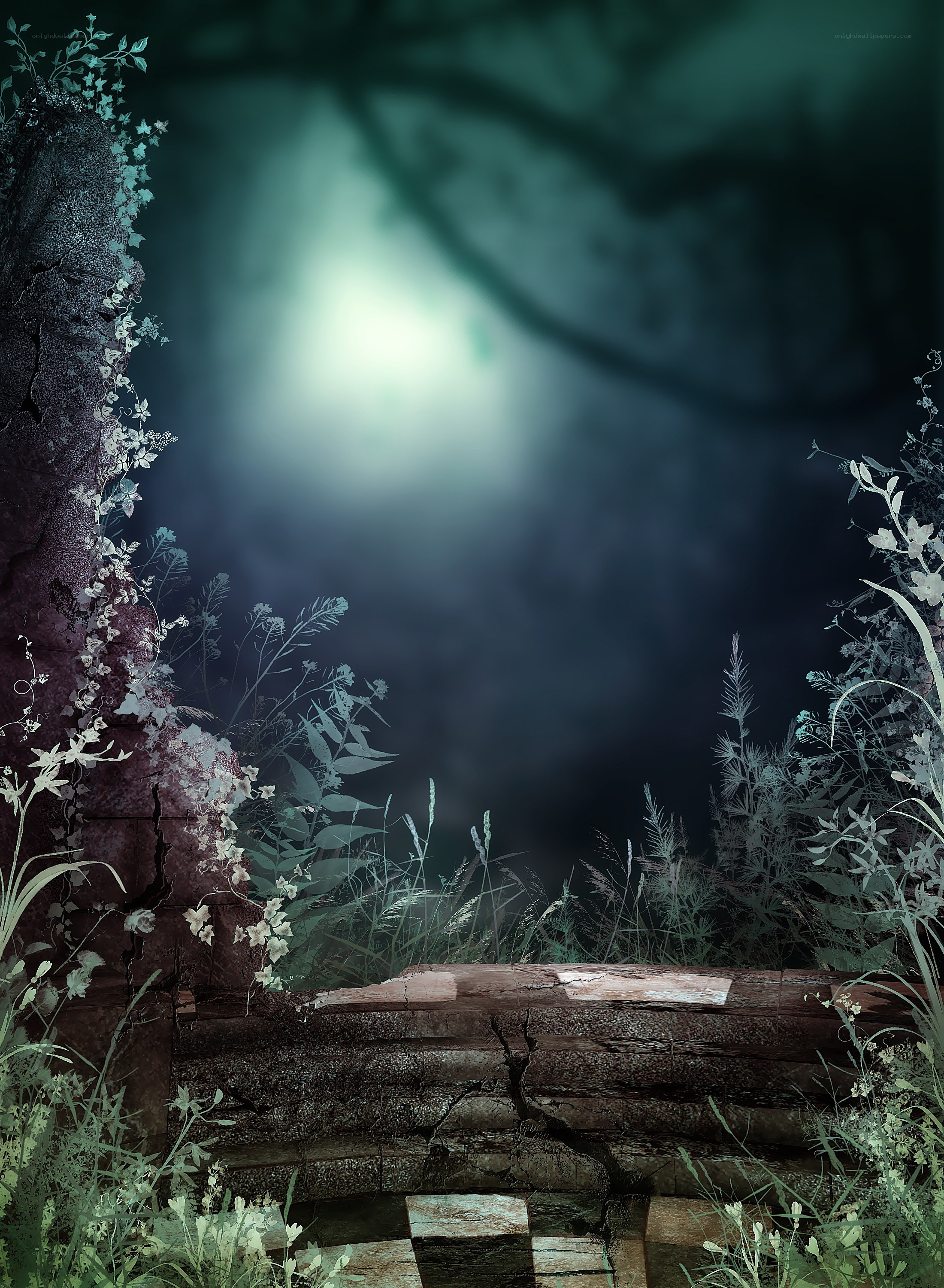 mysterious forest clearing