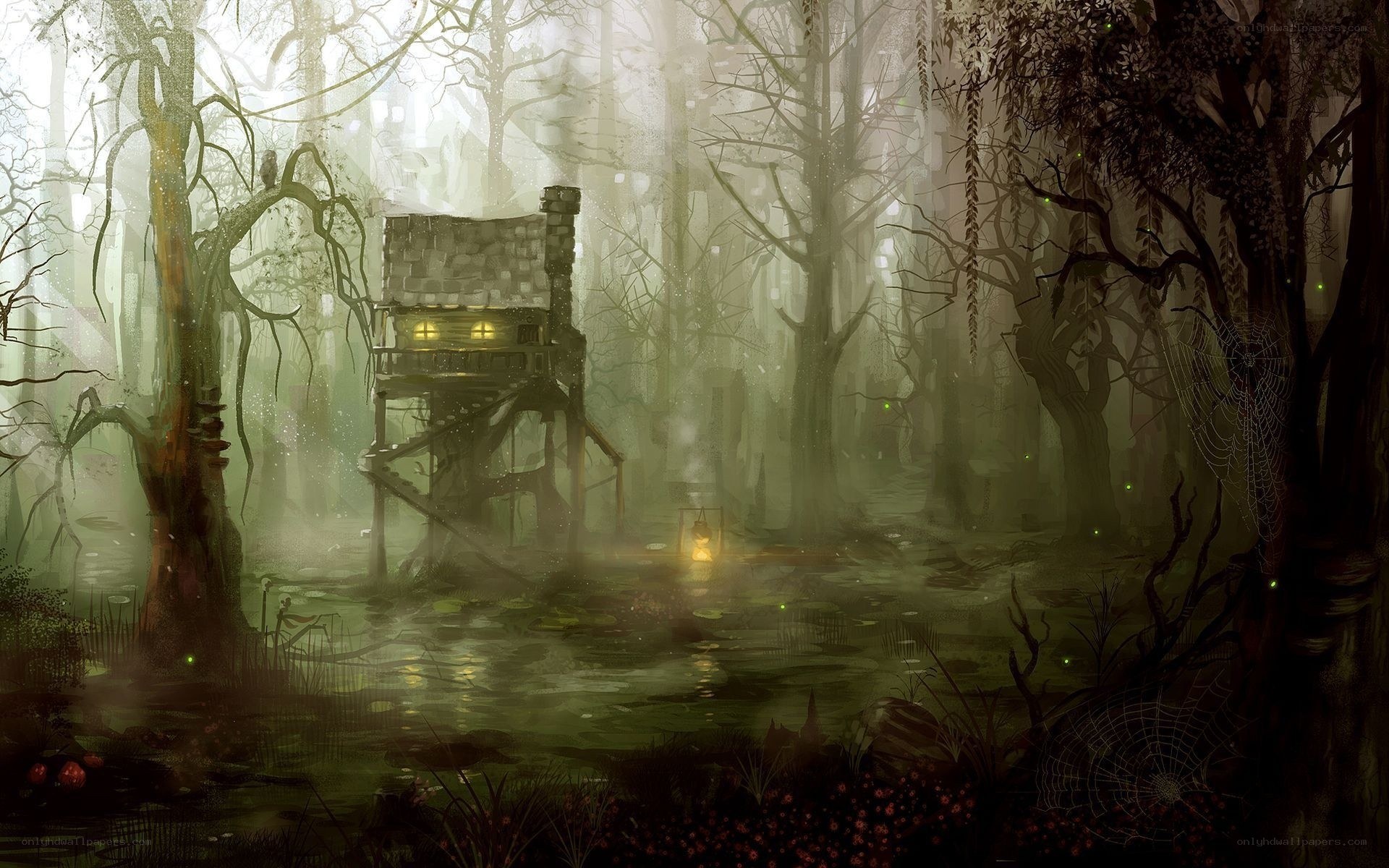 mysterious swamp cabin