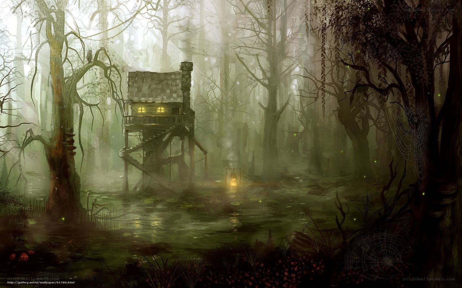mysterious swamp cabin