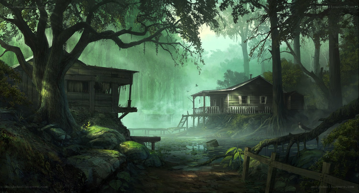 mysterious swamp cabins