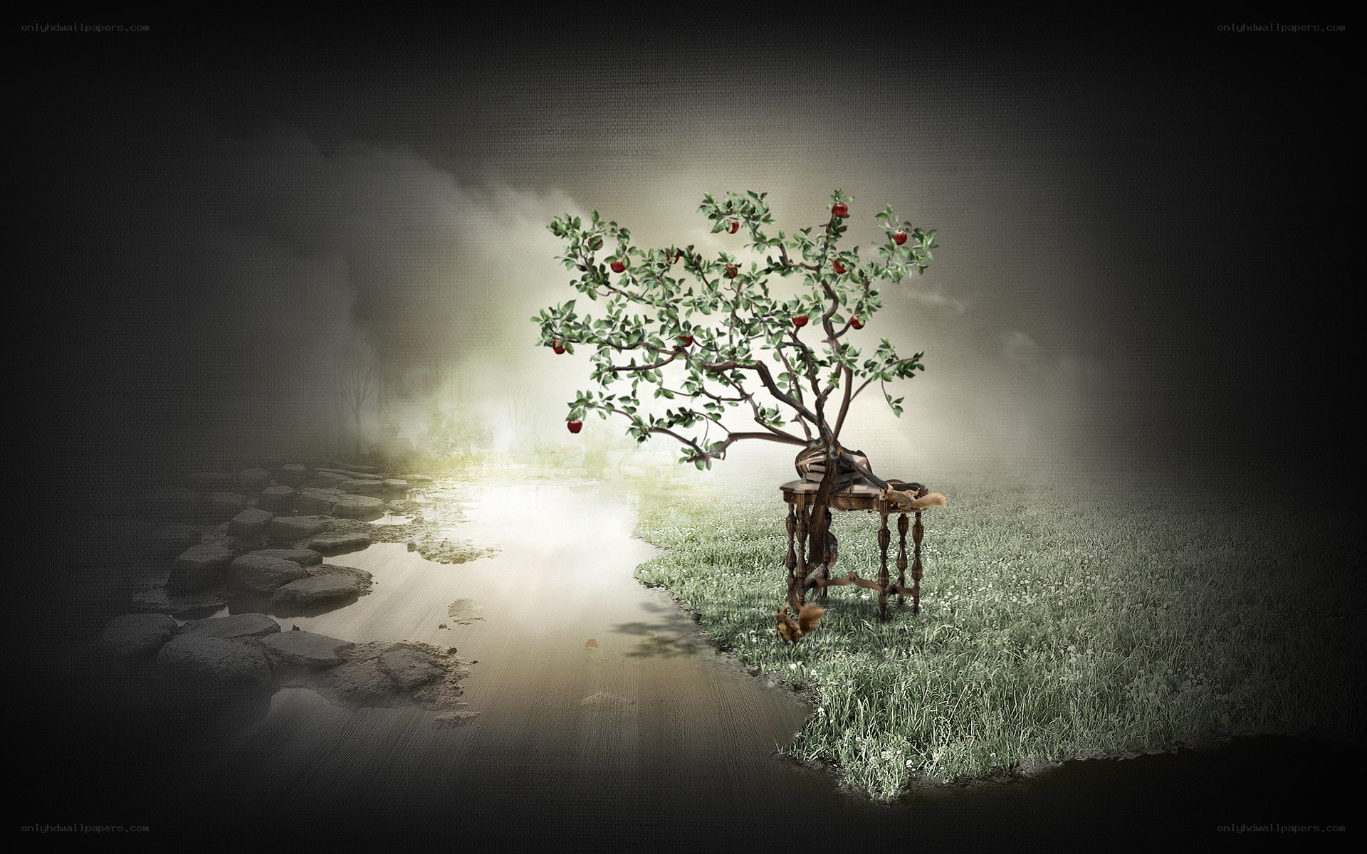 Mystical apple tree in fog