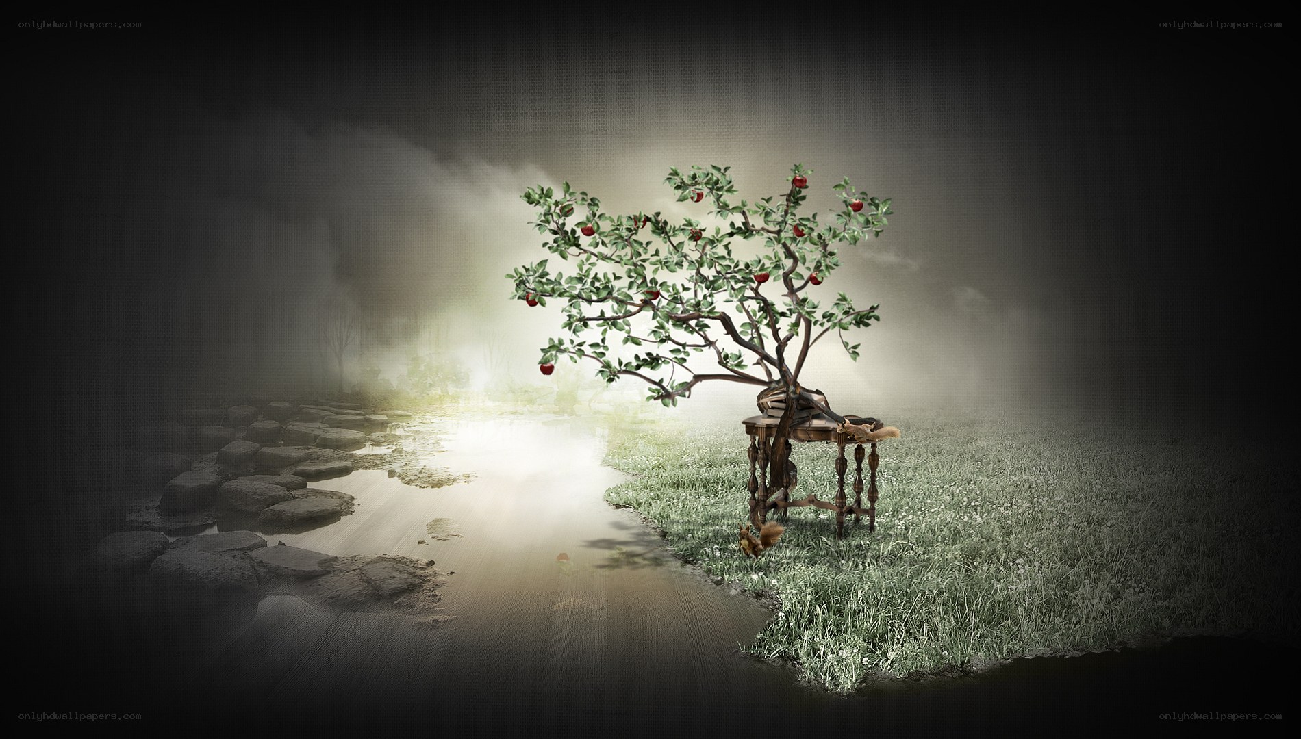 Mystical apple tree in fog