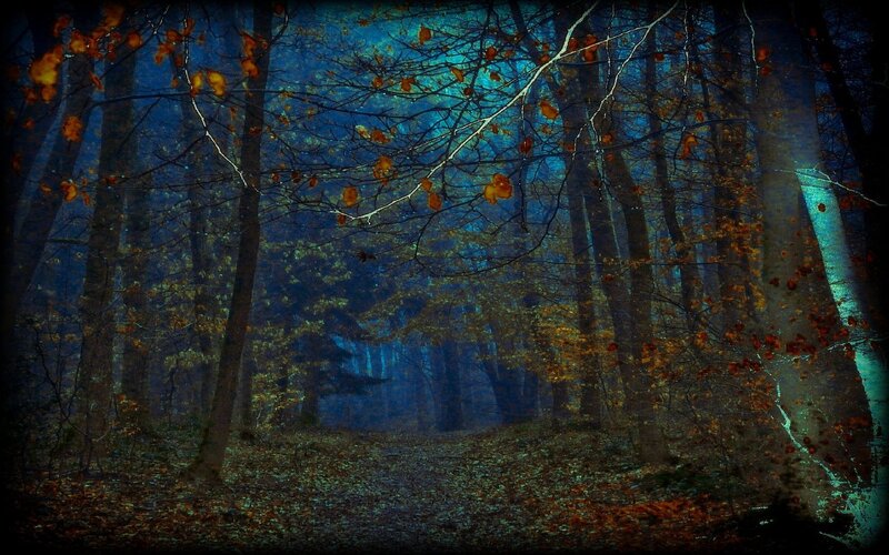 mystical autumn forest path