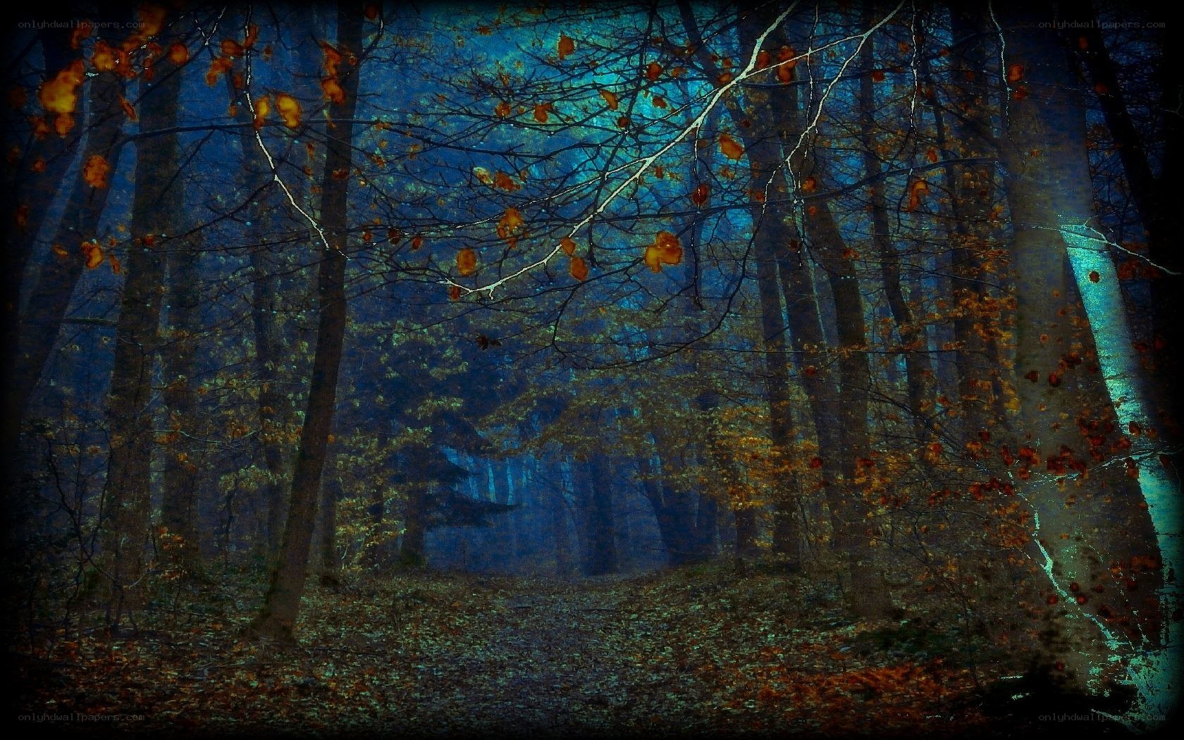 mystical autumn forest path
