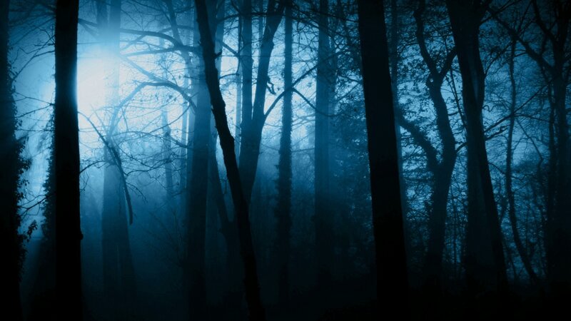 mystical blue forest