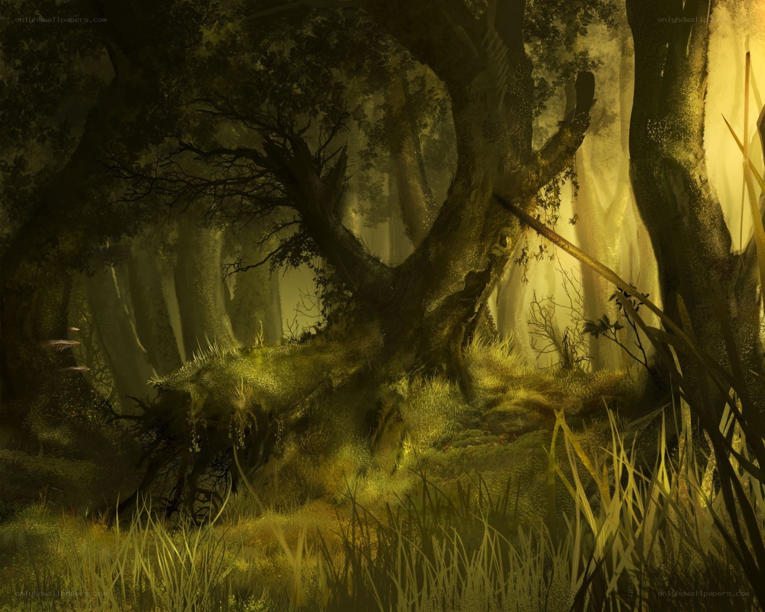 Mystical forest at dawn