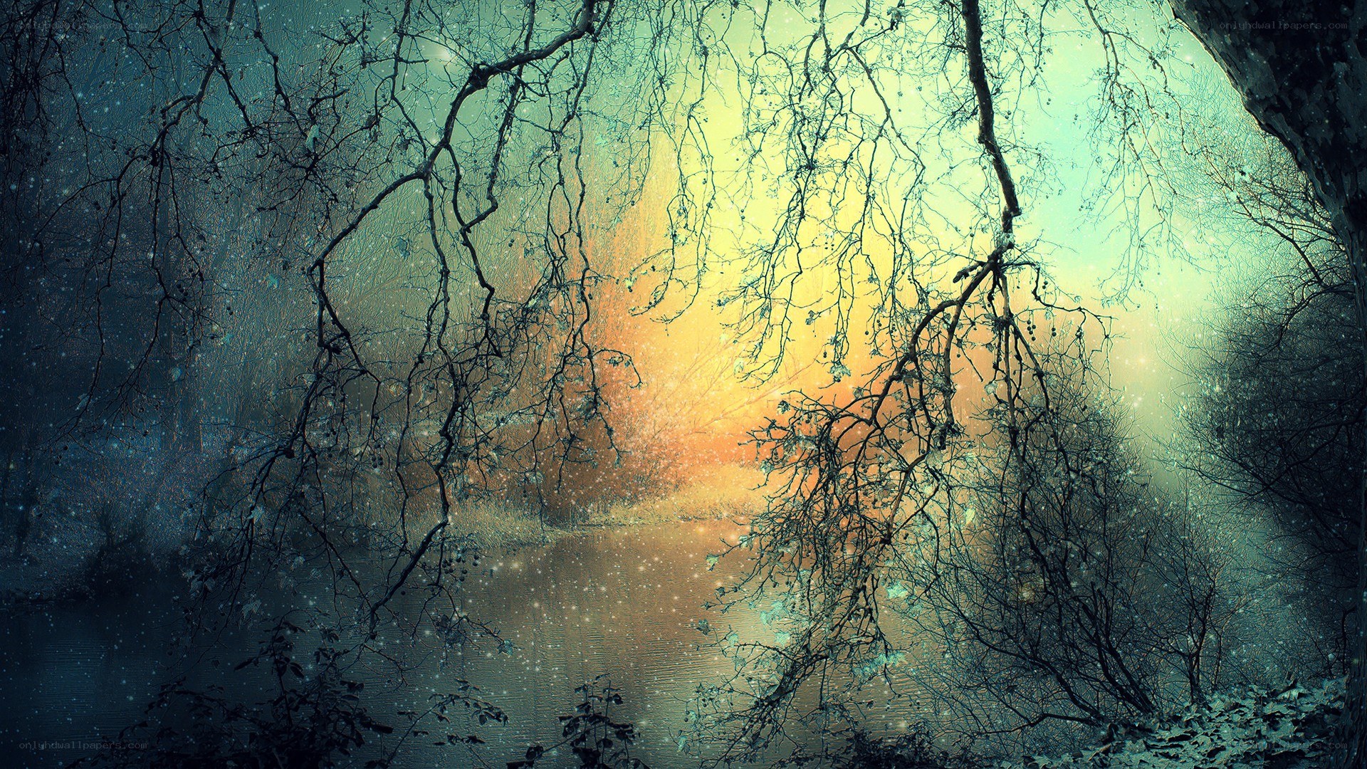 Mystical forest at dawn