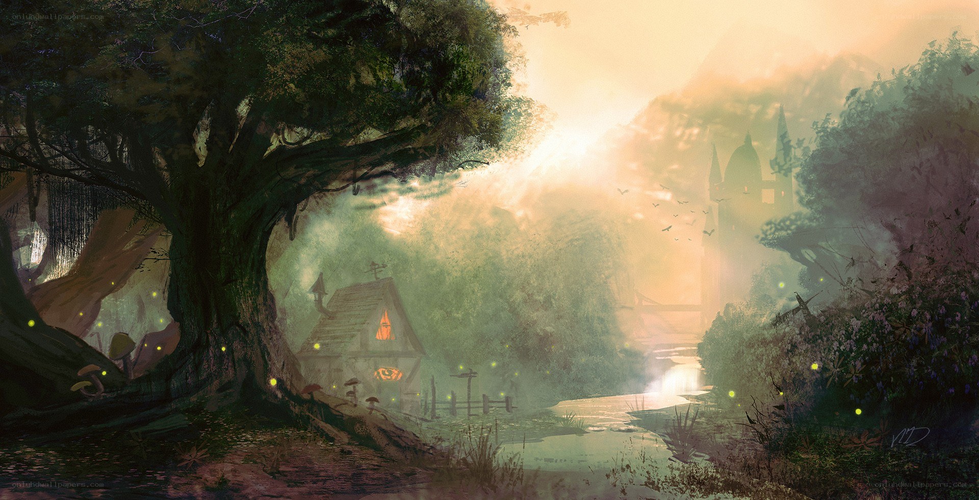 Mystical forest at dawn