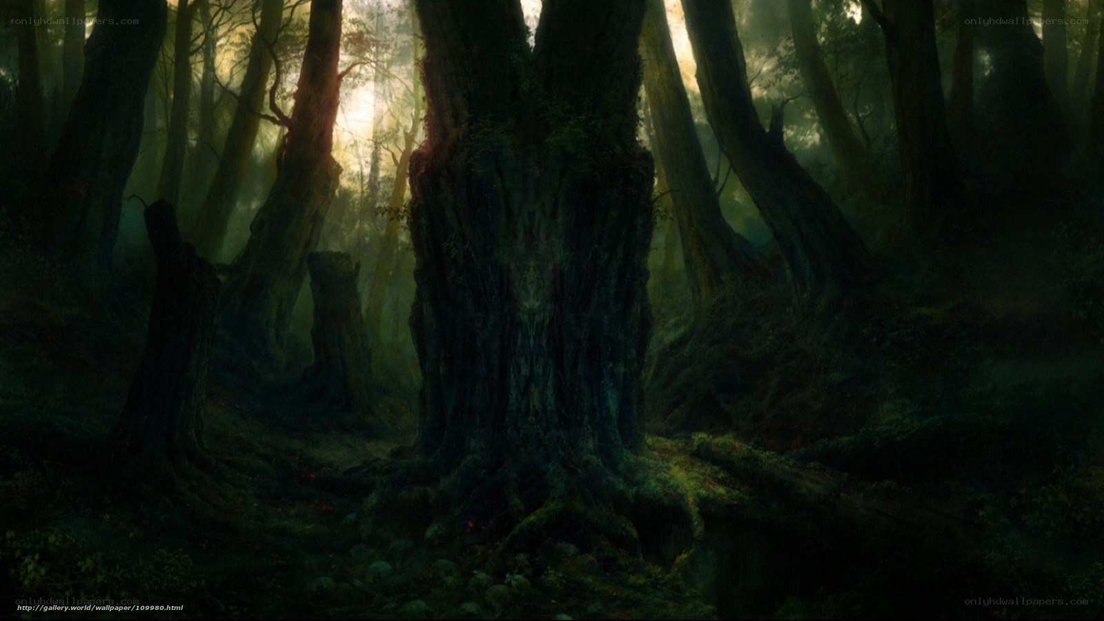 Mystical forest at dawn
