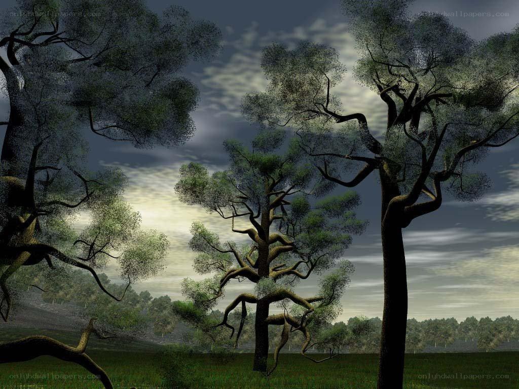 mystical forest at dusk