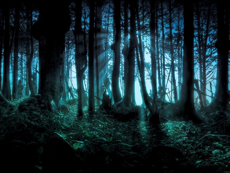 mystical forest at night