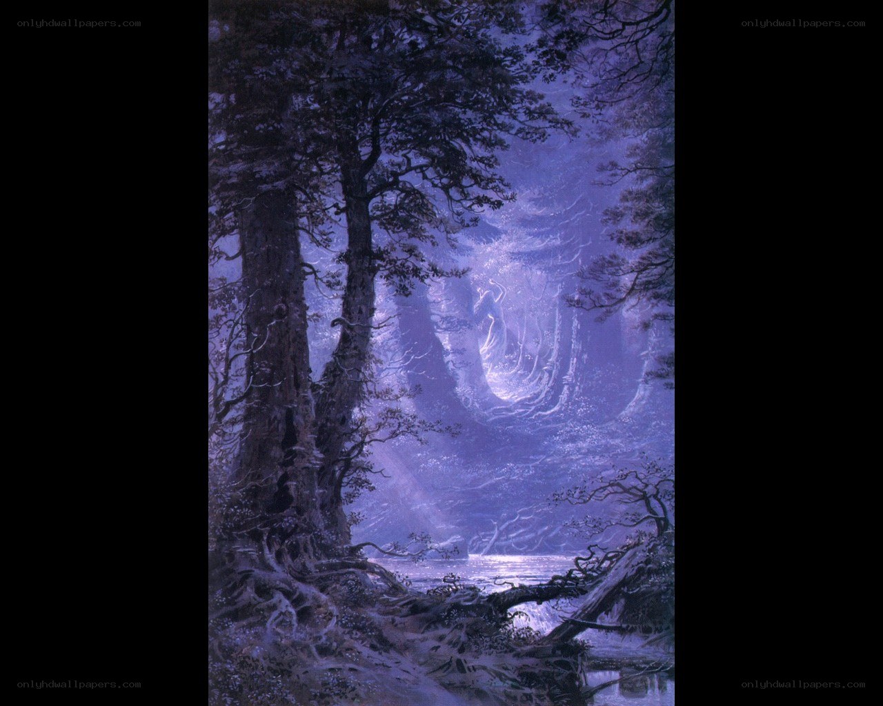 Mystical forest at night