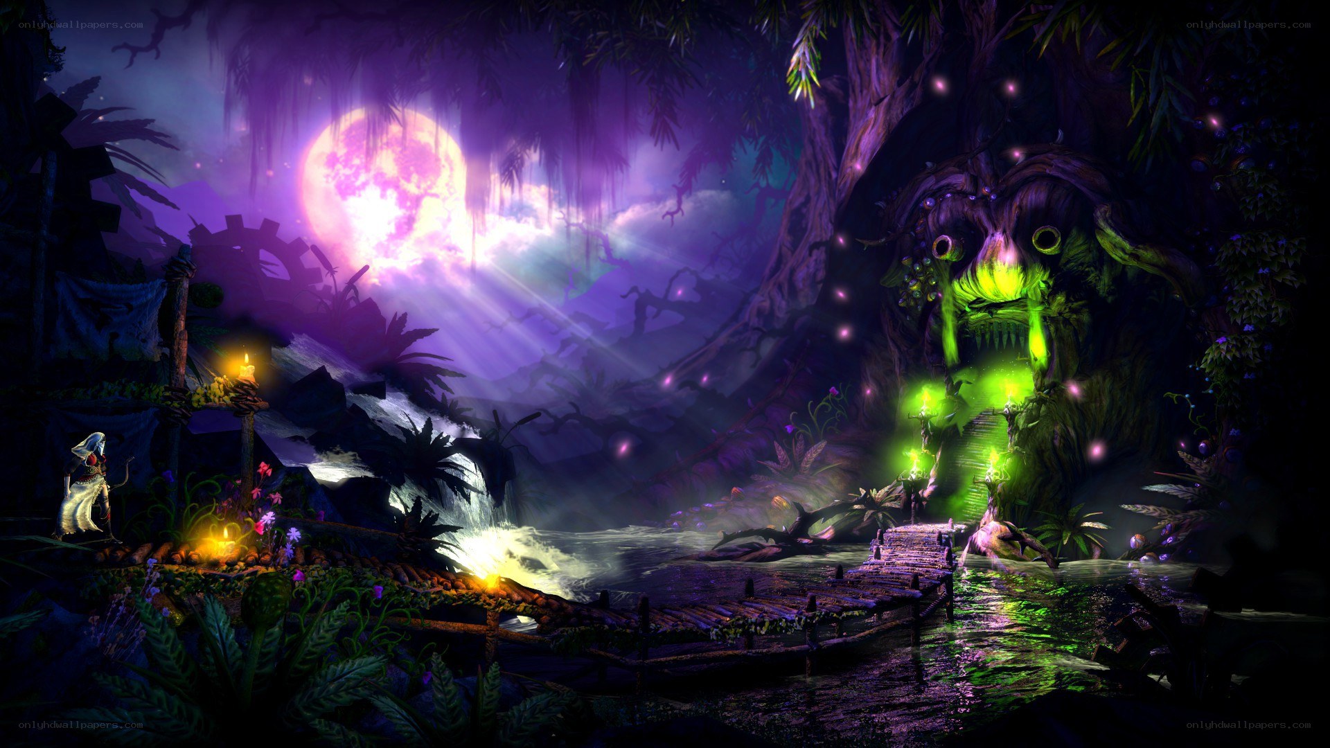 mystical forest at night