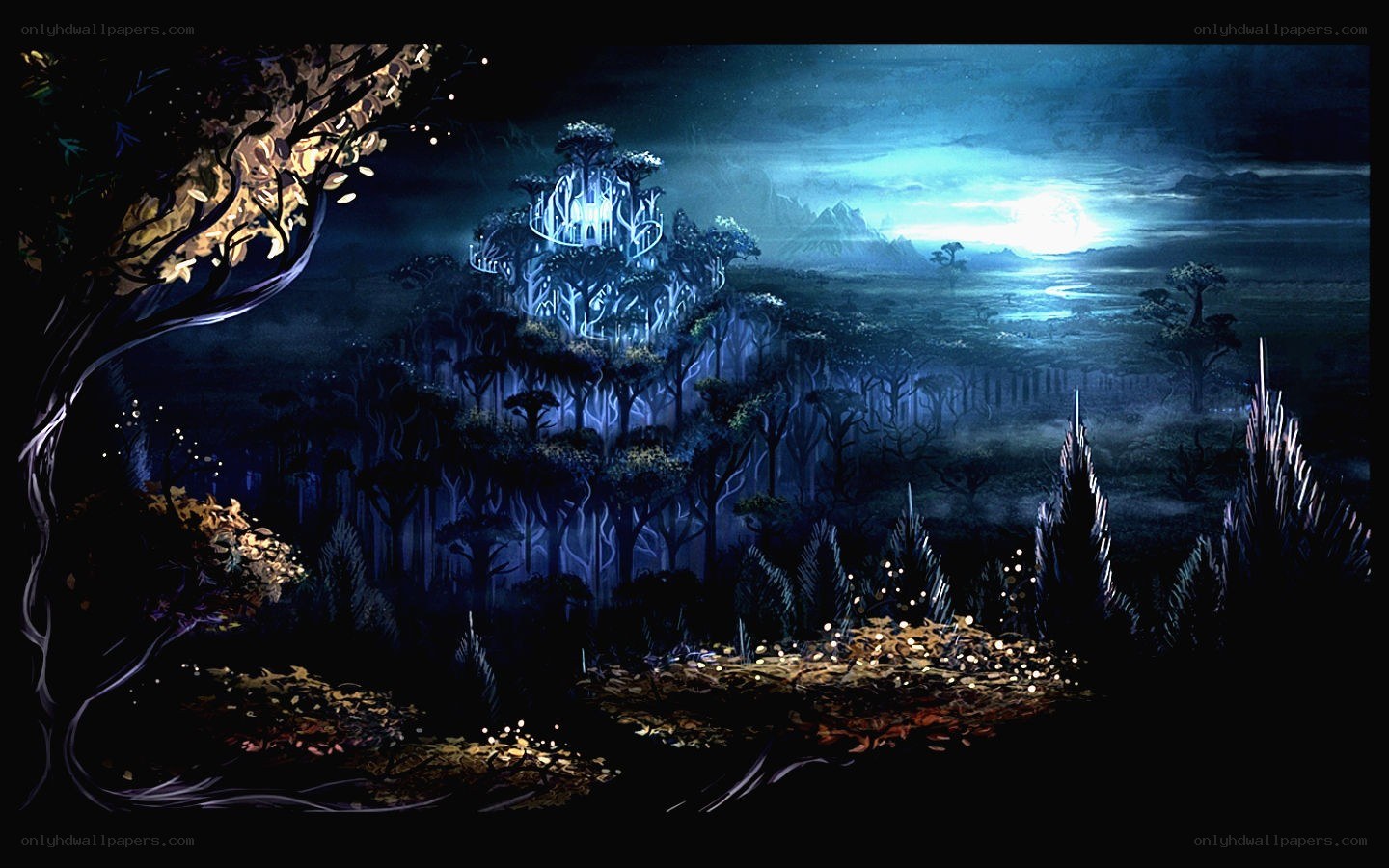mystical forest at night