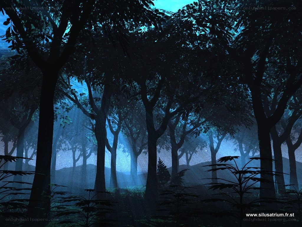 Mystical forest at night