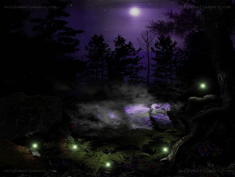 mystical forest at night