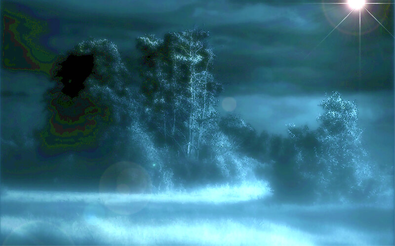 mystical forest at night