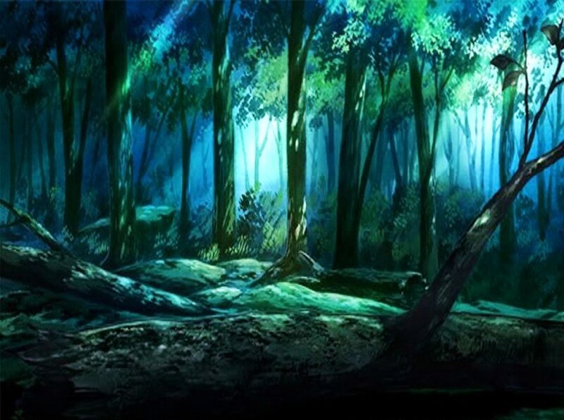 mystical forest at night