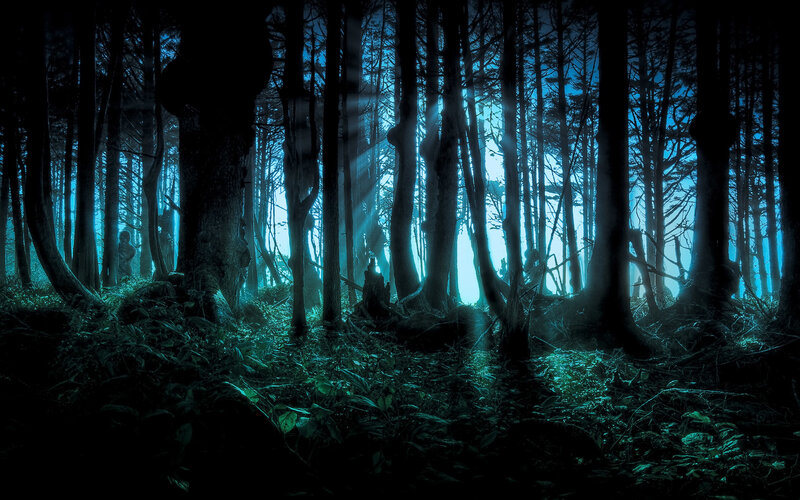 Mystical forest at night