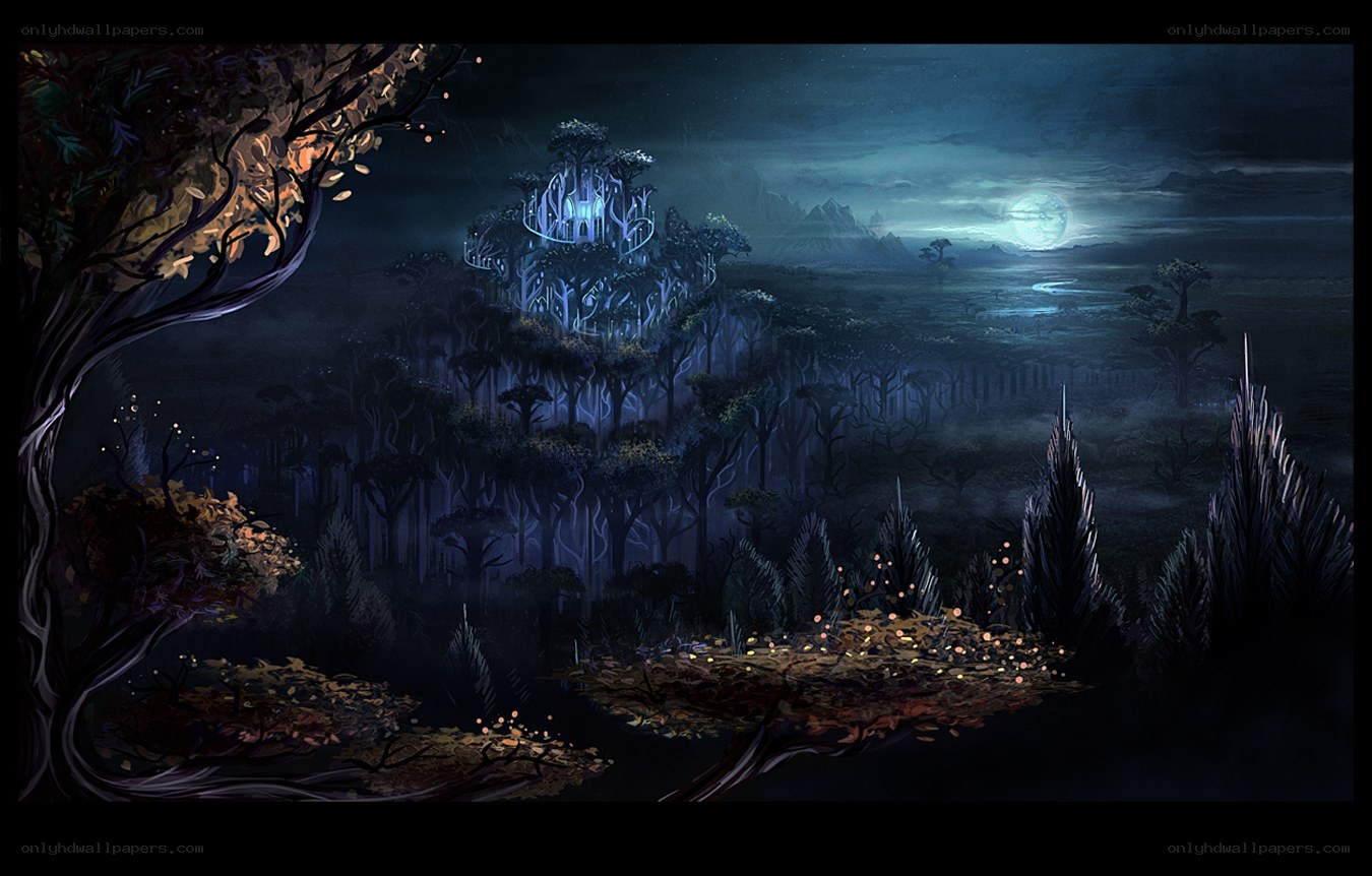 mystical forest at night