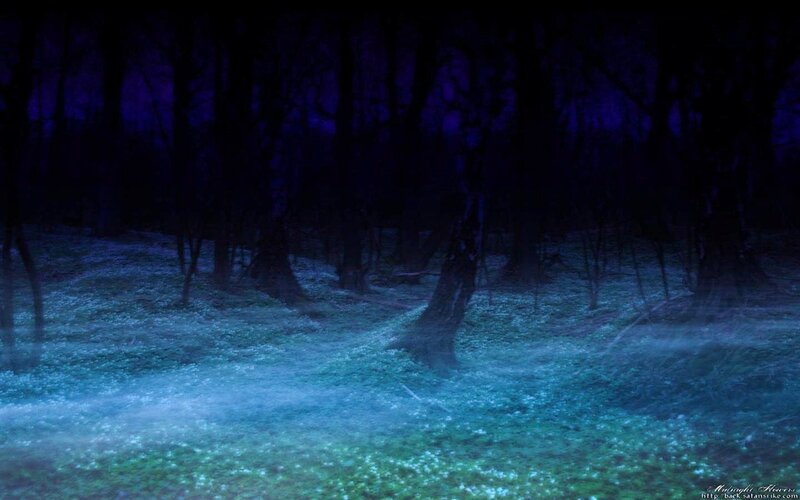 Mystical forest at night