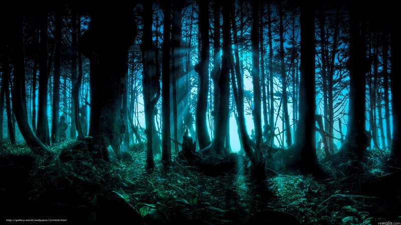 Mystical forest at night