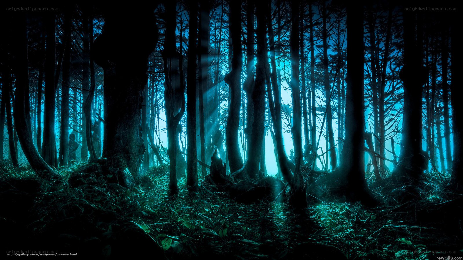 Mystical forest at night