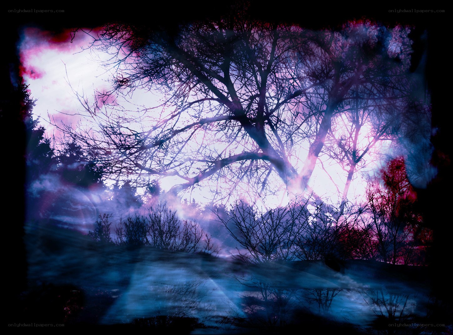 Mystical forest at twilight