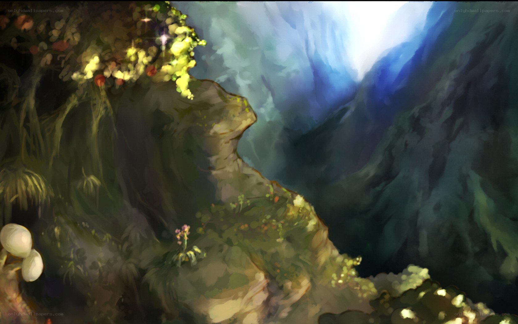 Mystical forest canyon